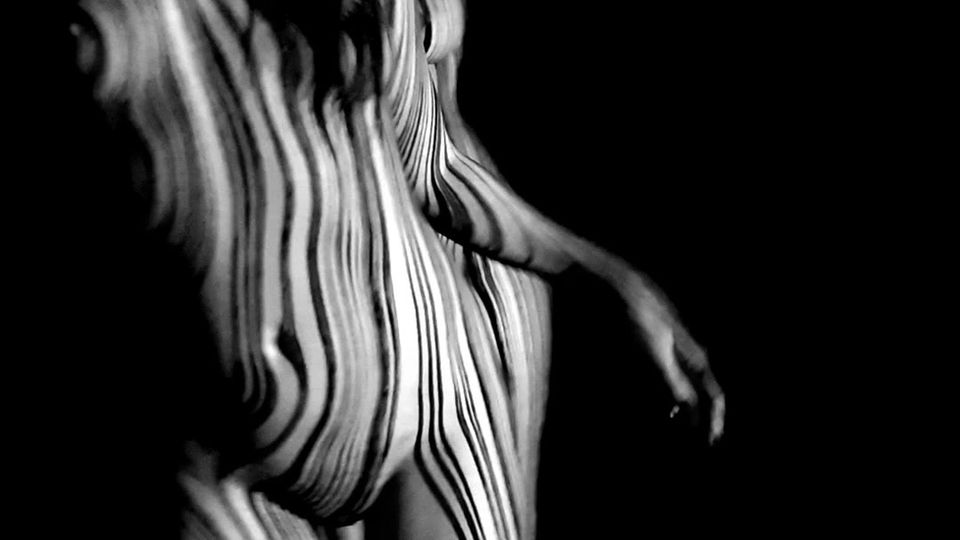 Backstage zebra 1